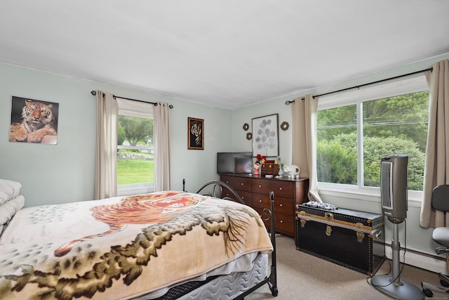 97 Edgewood Ave, Thomaston, CT 06787 - bedroom featuring light carpet