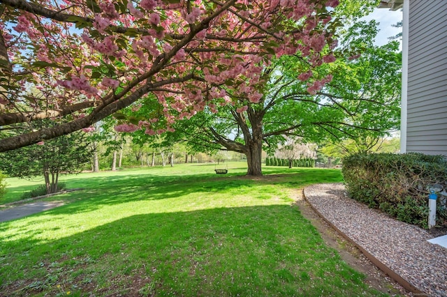 122 Nooks Hill Rd, Cromwell, CT 06416 - view of grassy yard