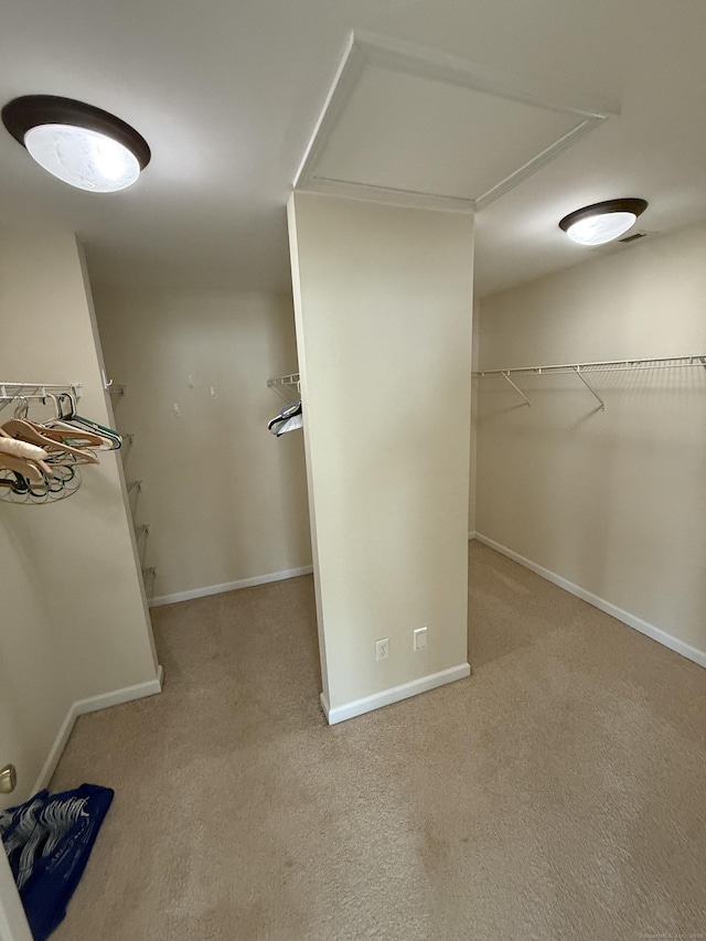 1 Sampson Ter Unit 801, Danbury, CT 06810 - walk in closet with attic access and carpet floors