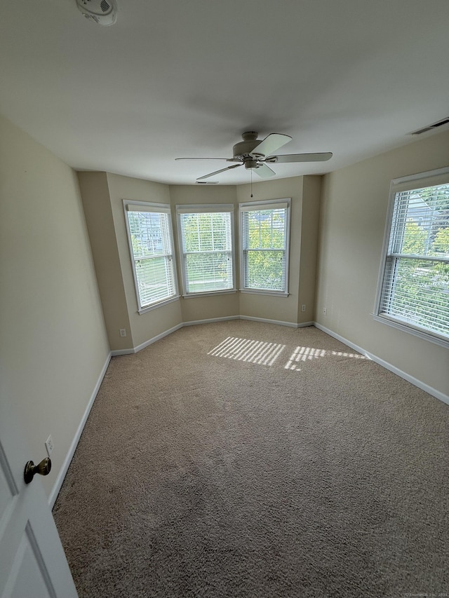 1 Sampson Ter Unit 801, Danbury, CT 06810 - carpeted spare room featuring plenty of natural light and ceiling fan