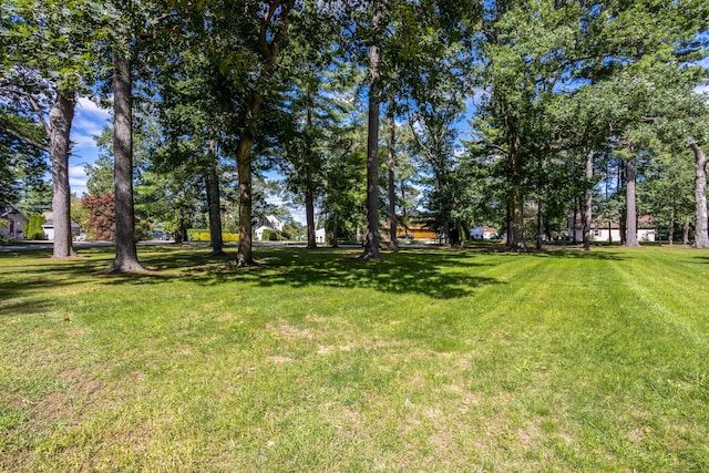 231 Shady Valley Rd, Coventry Ri, Rhode Island, RI 02816 - photo 10