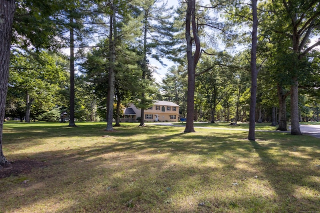 231 Shady Valley Rd, Coventry Ri, Rhode Island, RI 02816 - photo 16