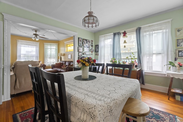 103 Eaton St, Bridgeport, CT 06604 - dining room featuring healthy amount of natural light, wood finished floors, and ceiling fan