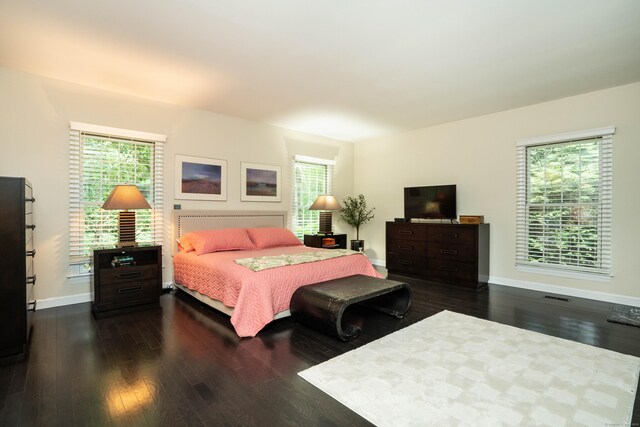 6 Salisbury Way, Farmington, CT 06032 - bedroom featuring dark wood-type flooring and multiple windows
