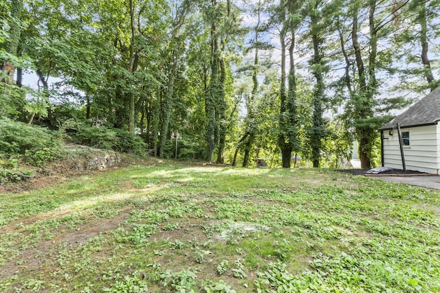 17 Norwood Rd, New Haven, CT 06513 - view of yard