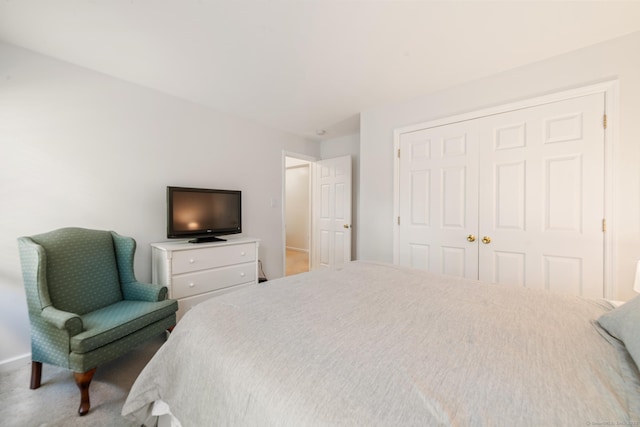 195 Crane Hollow Rd, Bethlehem, CT 06751 - bedroom with a closet and carpet floors
