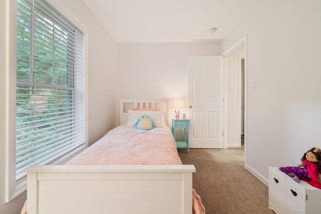 195 Crane Hollow Rd, Bethlehem, CT 06751 - bedroom with carpet flooring and baseboards