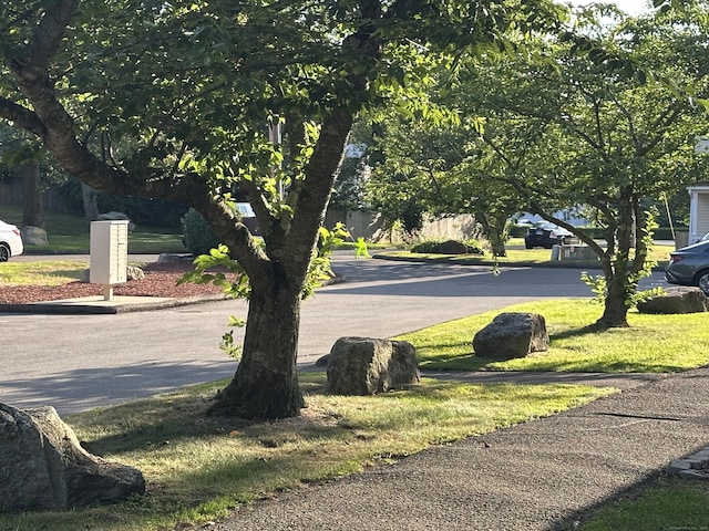 63 Coleman St Apt 14, East Haven, CT 06512 - view of asphalt street featuring sidewalks