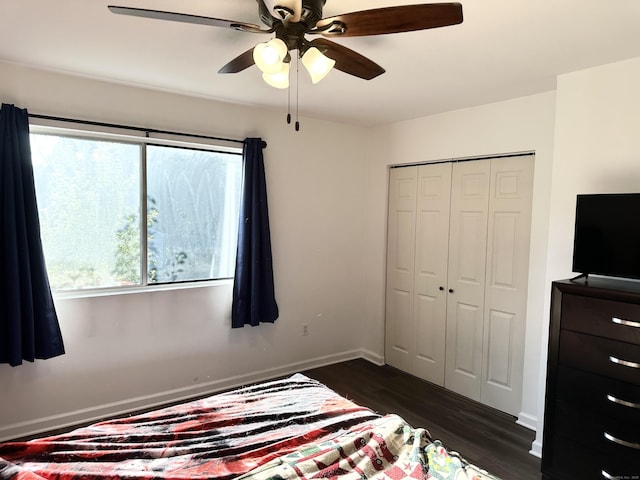 63 Coleman St Apt 14, East Haven, CT 06512 - bedroom featuring dark wood-type flooring, a closet, and a ceiling fan