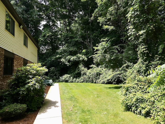 140 Thompson St Apt 3A, East Haven, CT 06513 - photo 16