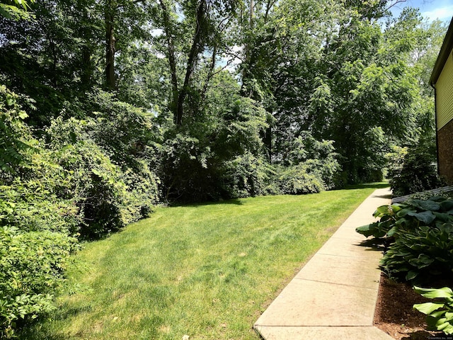 140 Thompson St Apt 3A, East Haven, CT 06513 - photo 17