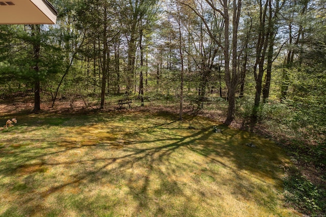 87 Pleasant Dr, Bethany, CT 06524 - view of green lawn