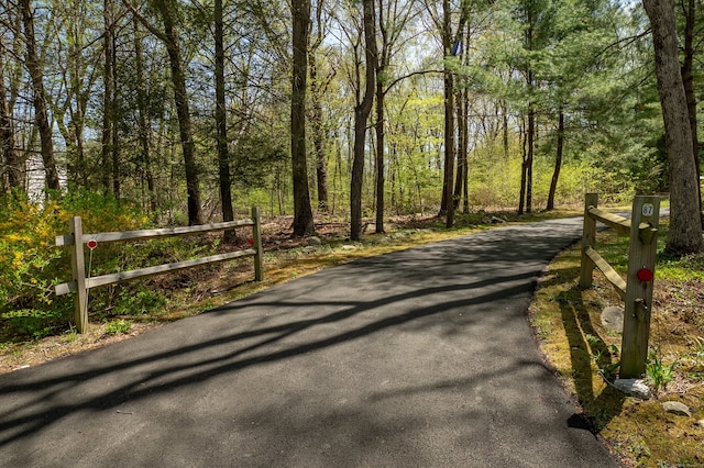 87 Pleasant Dr, Bethany, CT 06524 - view of road featuring a wooded view