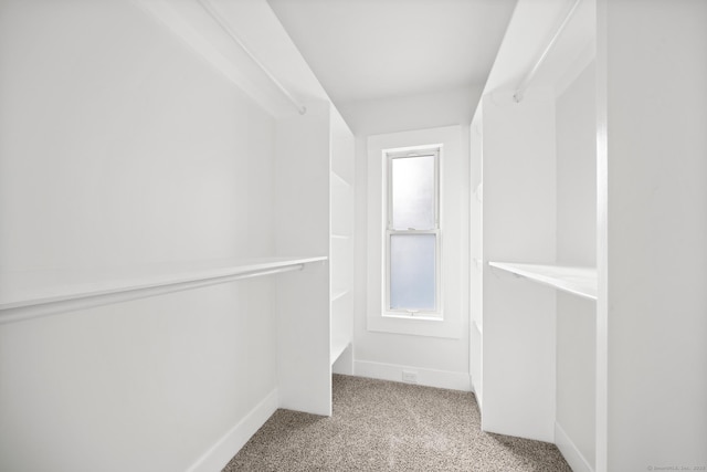 220 Hillside Ave, Waterbury, CT 06710 - walk in closet with carpet flooring