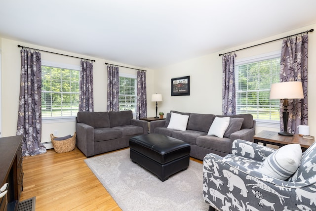 89 Honey Hill Rd, New Hartford, CT 06057 - living room featuring wood finished floors, healthy amount of natural light, and baseboard heating