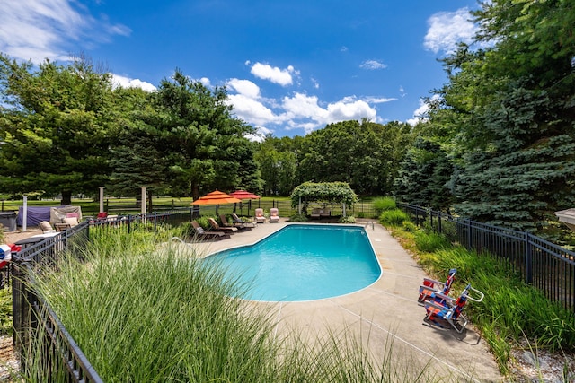 89 Honey Hill Rd, New Hartford, CT 06057 - view of pool with a patio