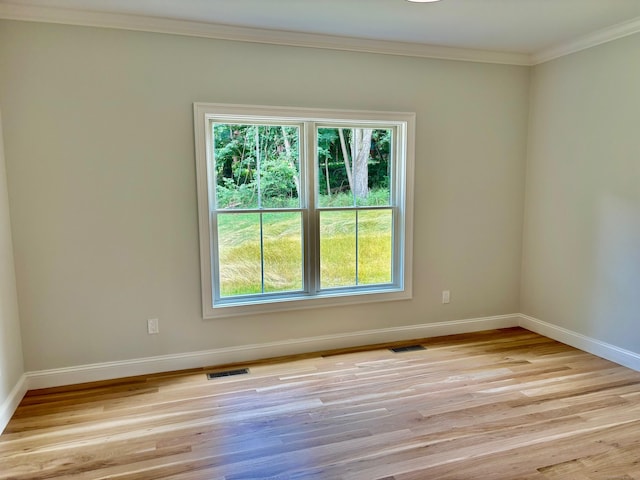 2 Gary Knls, Danbury, CT 06810 - unfurnished room featuring crown molding, healthy amount of natural light, and light wood-style floors