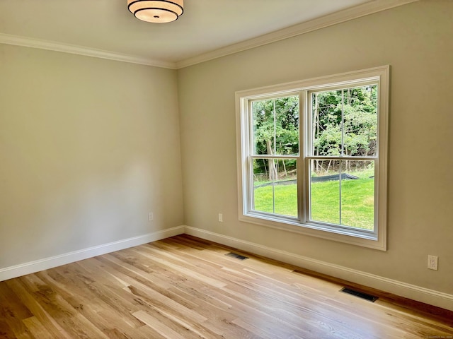 2 Gary Knls, Danbury, CT 06810 - empty room featuring light wood finished floors, healthy amount of natural light, and ornamental molding
