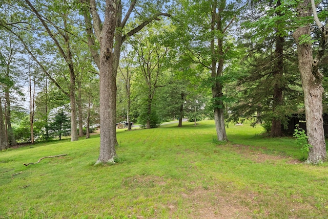 377 Tolland Stage Rd, Tolland, CT 06084 - photo 32