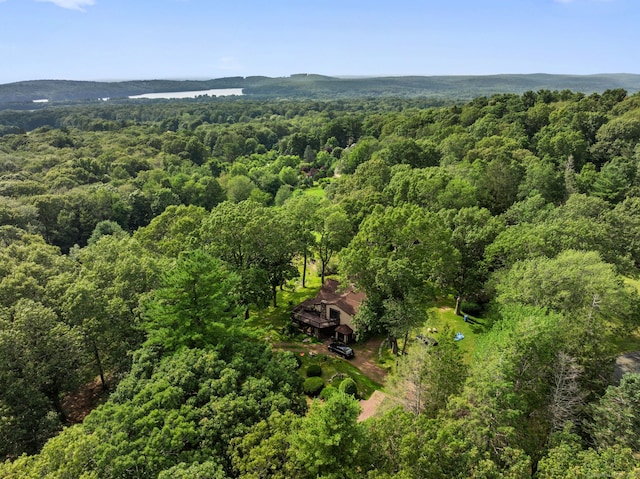 377 Tolland Stage Rd, Tolland, CT 06084 - photo 36