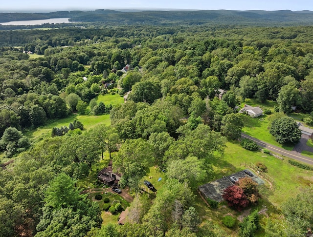 377 Tolland Stage Rd, Tolland, CT 06084 - photo 38