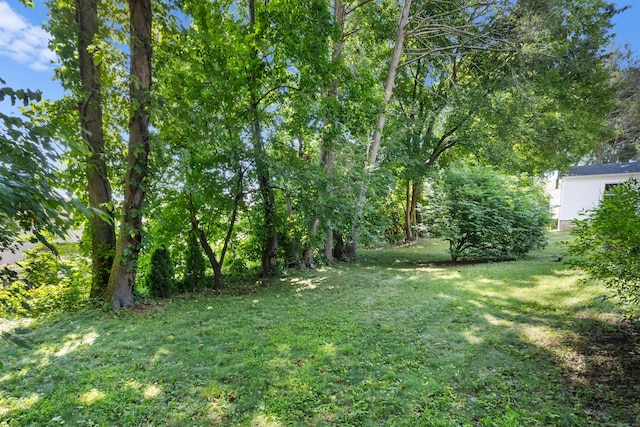 57 Palmer St, Stamford, CT 06907 - photo 35