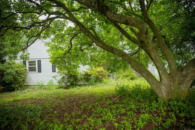 780 Ridge Rd, Hamden, CT 06517 - view of yard
