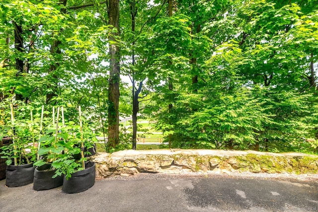 1197 Hope St Apt 7, Stamford, CT 06907 - view of yard