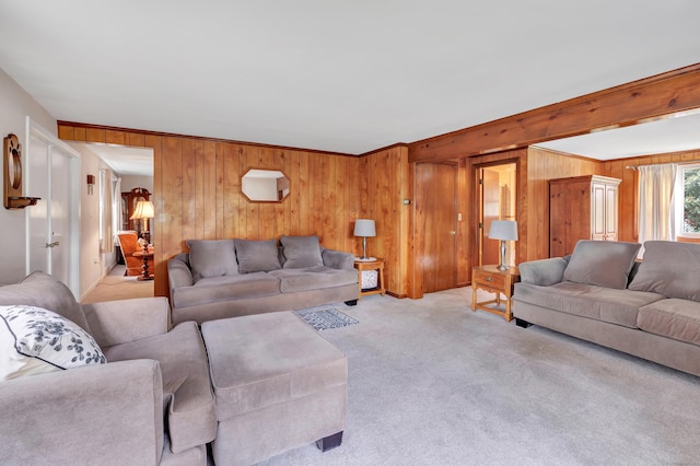 46 W St, Shelton, CT 06484 - living area featuring wood walls and carpet