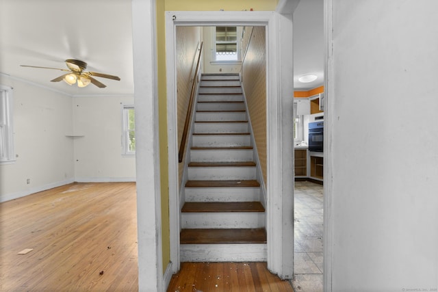 484 Reitter St W, Stratford, CT 06614 - staircase featuring ceiling fan and wood-type flooring