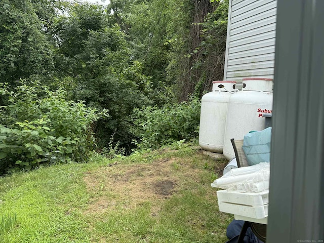 441 Main St Lot 1005, East Hartford, CT 06111 - view of yard with a view of trees