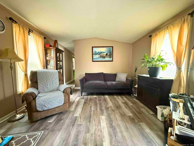 441 Main St Lot 1005, East Hartford, CT 06111 - living area featuring lofted ceiling and wood finished floors