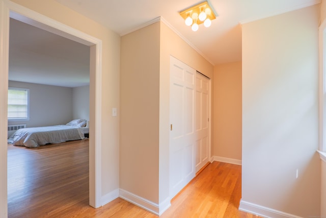 226 Stanwich Rd, Greenwich, CT 06830 - hall featuring light wood-style flooring, ornamental molding, and radiator heating unit