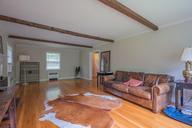 226 Stanwich Rd, Greenwich, CT 06830 - living room featuring wood finished floors, beamed ceiling, radiator, and crown molding
