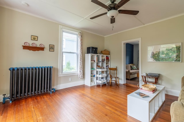 47 Silver St, Middletown, CT 06457 - living area featuring radiator, a ceiling fan, wood finished floors, and ornamental molding