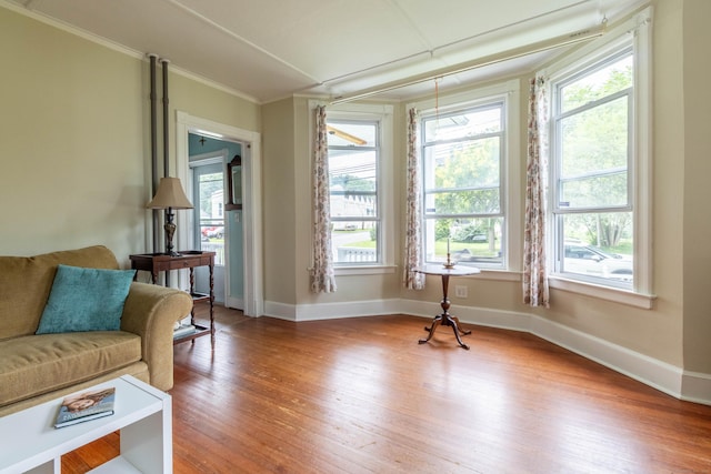47 Silver St, Middletown, CT 06457 - living room featuring light wood-style floors, healthy amount of natural light, and ornamental molding