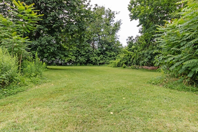 47 Silver St, Middletown, CT 06457 - view of green lawn