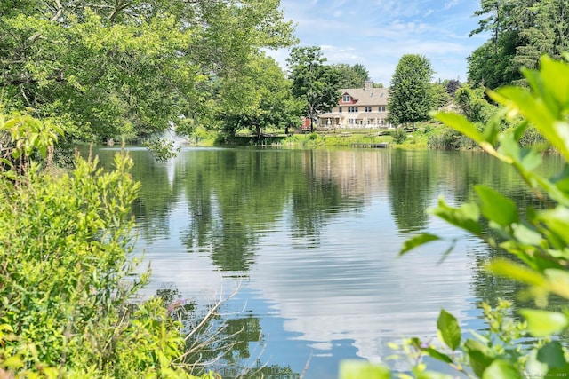 583 Heritage Vlg Unit A, Southbury, CT 06488 - water view