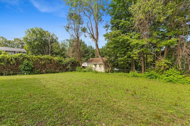 231 Lincolndale Dr, Waterbury, CT 06704 - view of green lawn