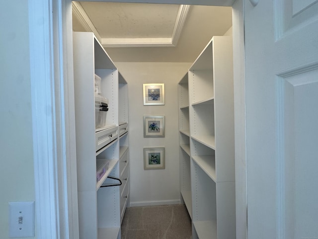 6005 Hancock Dr Unit 6005, Danbury, CT 06811 - view of storage area