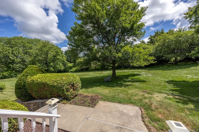 12 Marc Dr, Watertown, CT 06795 - view of green lawn featuring a patio