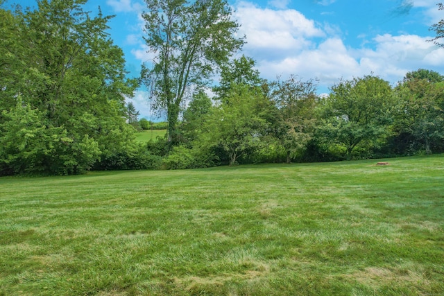 12 Marc Dr, Watertown, CT 06795 - view of green lawn