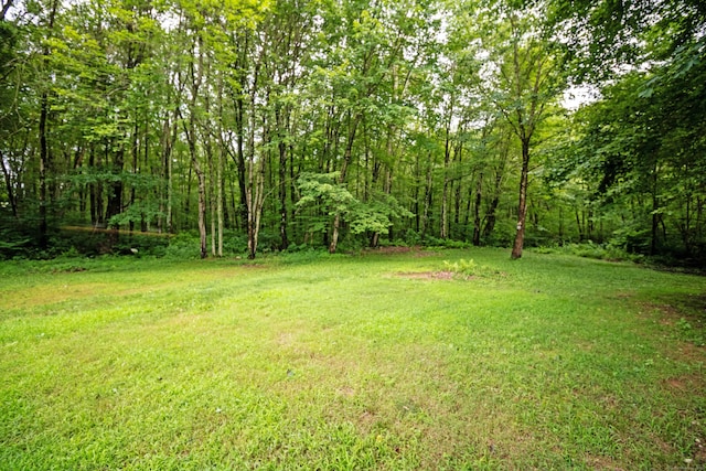 534 Norwich Ave, Colchester, CT 06415 - view of grassy yard featuring a forest view