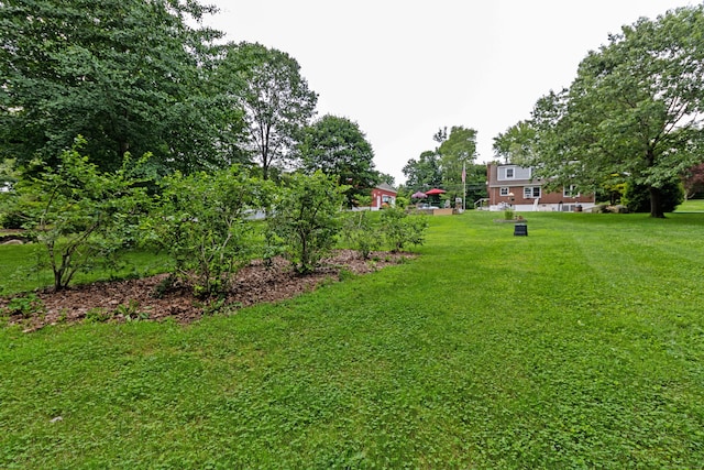 534 Norwich Ave, Colchester, CT 06415 - view of grassy yard