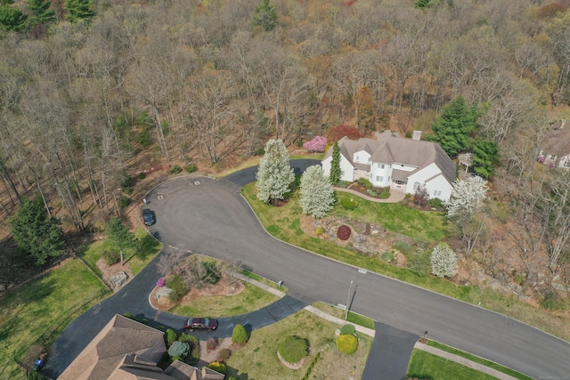 39 Tania Dr, Manchester, CT 06040 - photo 37