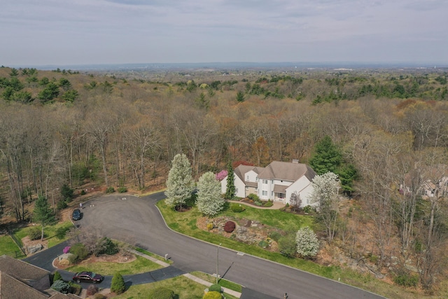 39 Tania Dr, Manchester, CT 06040 - photo 36