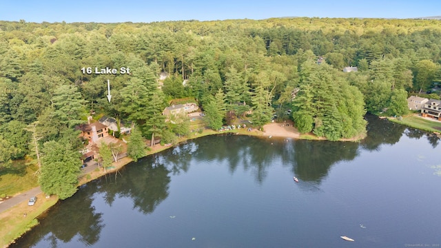 16 Lake St, Burlington, CT 06013 - view of property location with a heavily wooded area and a nearby body of water