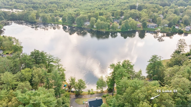 16 Lake St, Burlington, CT 06013 - bird's eye view of a large body of water and a heavily wooded area