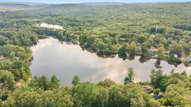 16 Lake St, Burlington, CT 06013 - drone / aerial view of a heavily wooded area and a nearby body of water
