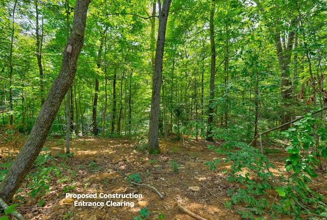 0 Gadpouch Rd, East Hampton, CT 06480 - photo 6